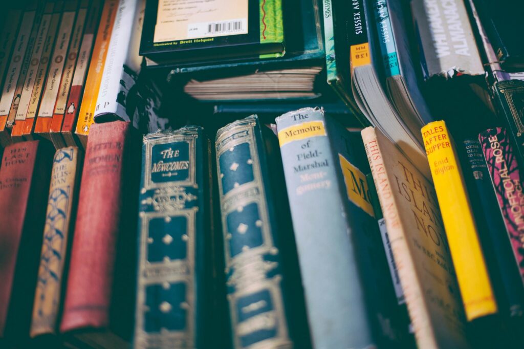 french classic literature novels