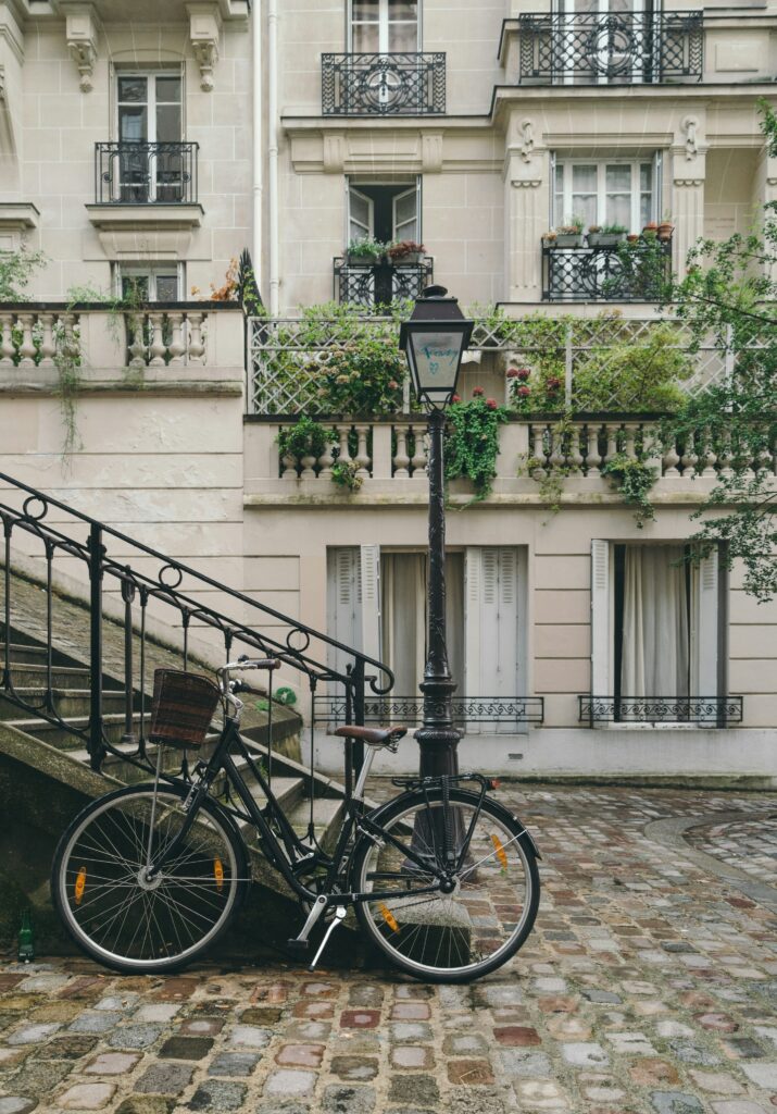 french classic literature characteristics