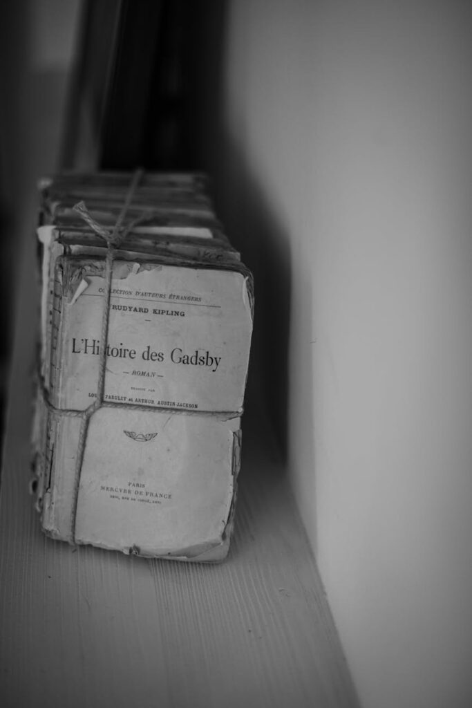 french classic literature romanticism